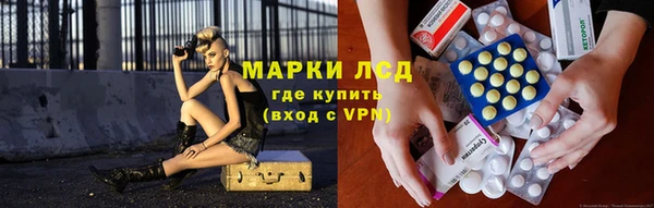 сатива Армянск