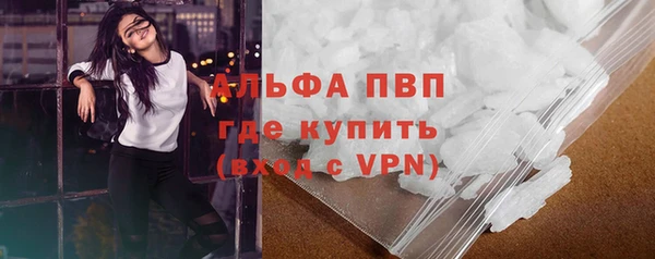 сатива Армянск