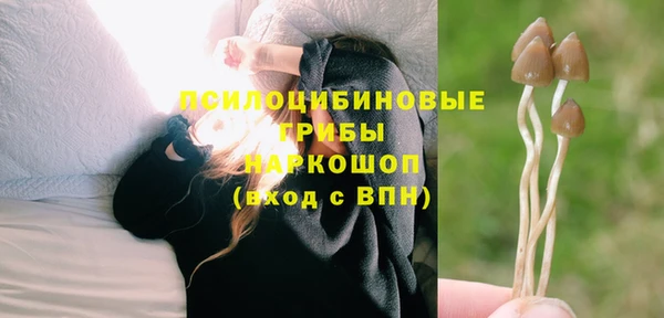 сатива Армянск