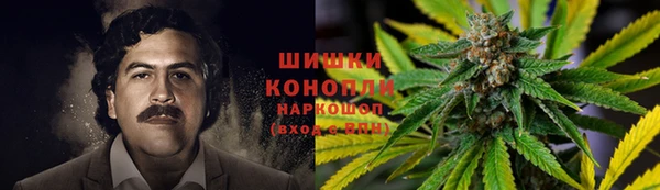 дмт Аркадак