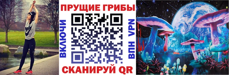 Галлюциногенные грибы мицелий купить наркотик Буинск